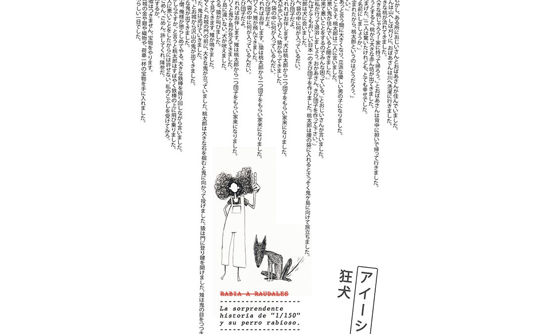 RABIA fanzine
