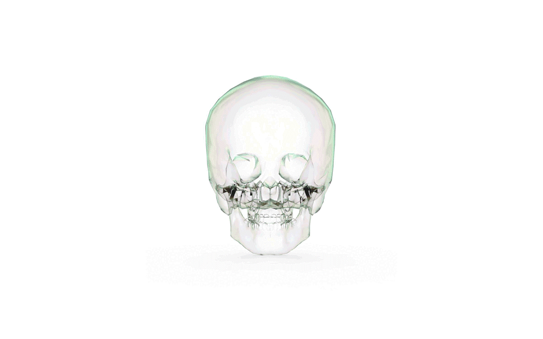 skulls