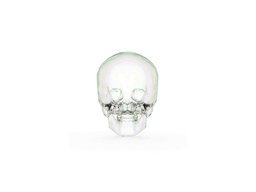 skulls
